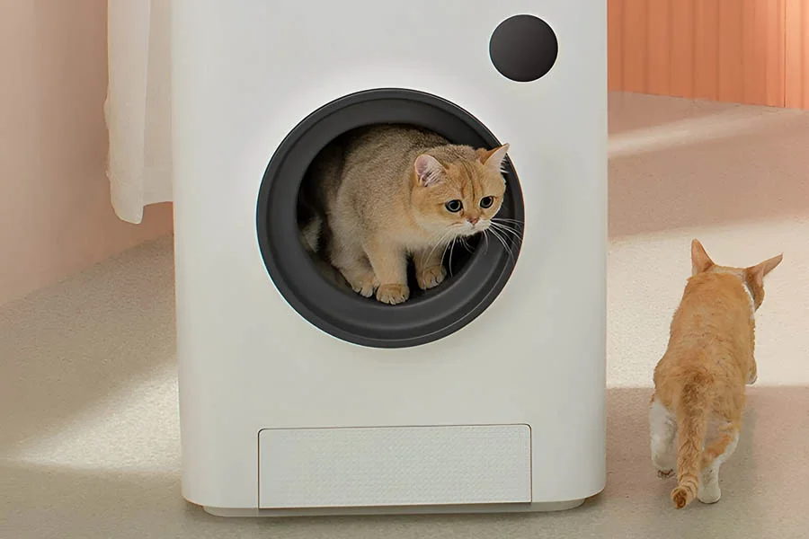 top rated cat litter box